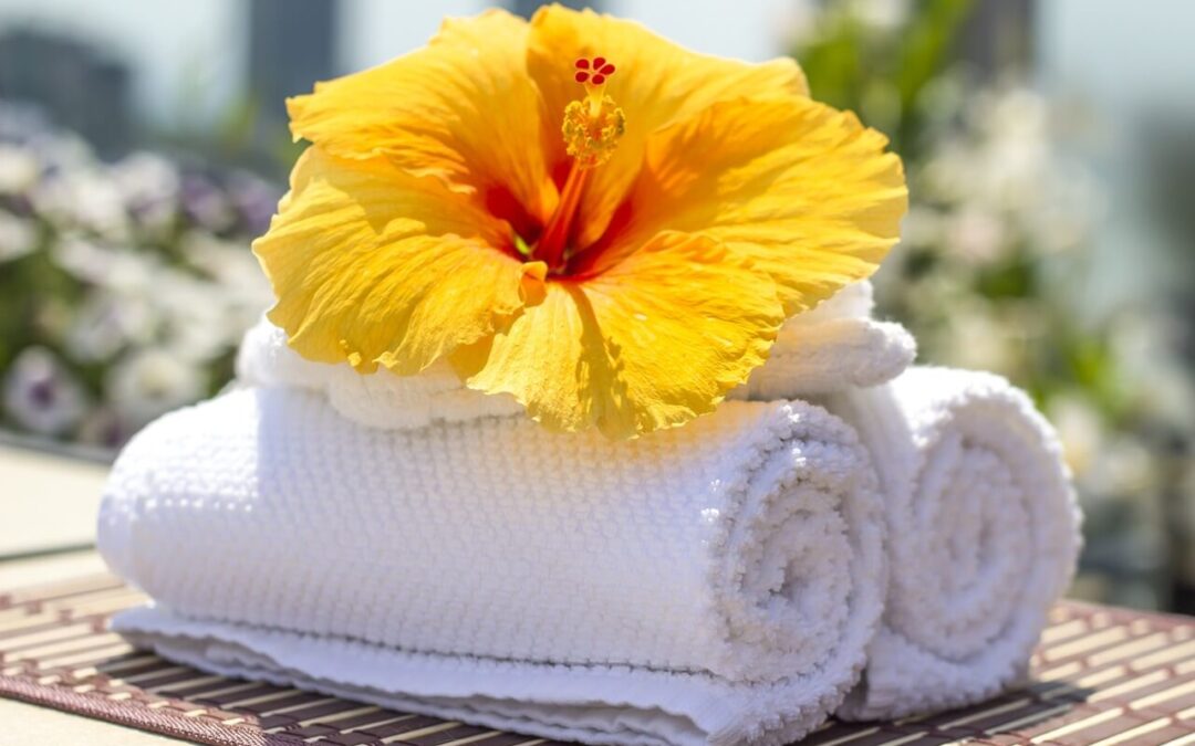 En la comodidad de la claridad