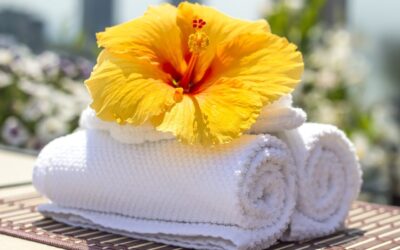 En la comodidad de la claridad